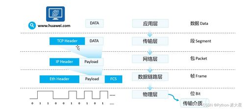 網(wǎng)絡(luò)基礎(chǔ)概覽 設(shè)備、模型、協(xié)議與通信過(guò)程
